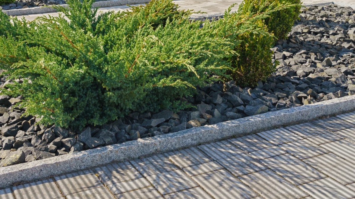 Betonplusz Bordázott Nádasdy térkő